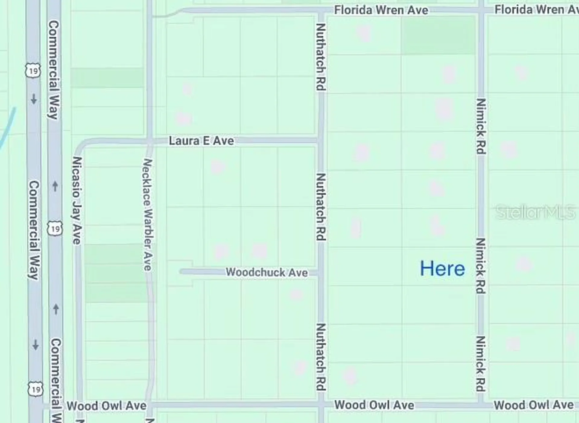 17467 Nimick Road Weeki Wachee FL 34614