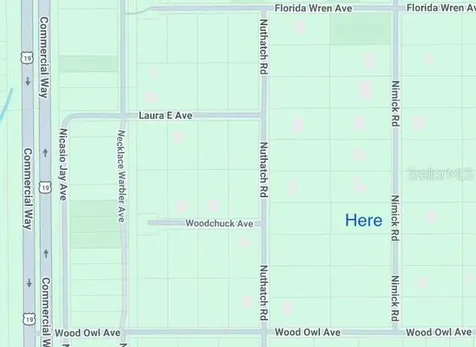 17467 Nimick Road Weeki Wachee FL 34614