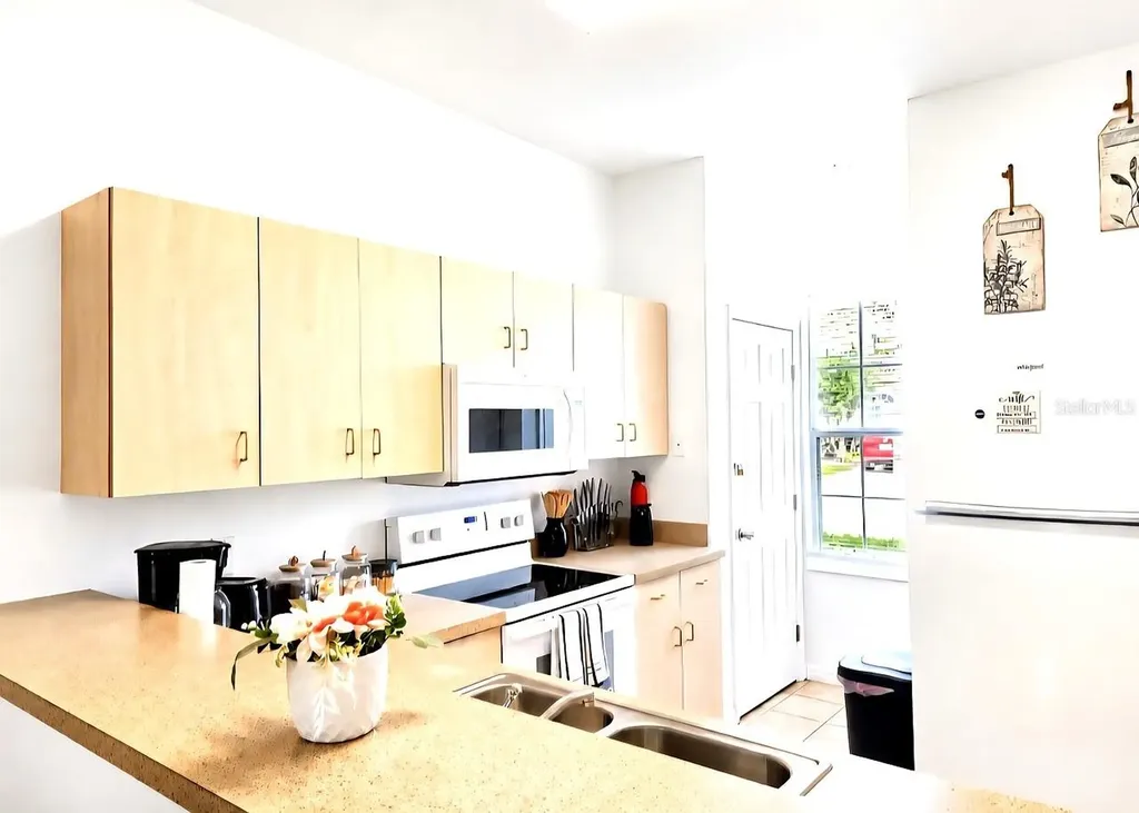 259 Grand Rapids Drive Kissimmee FL 34759