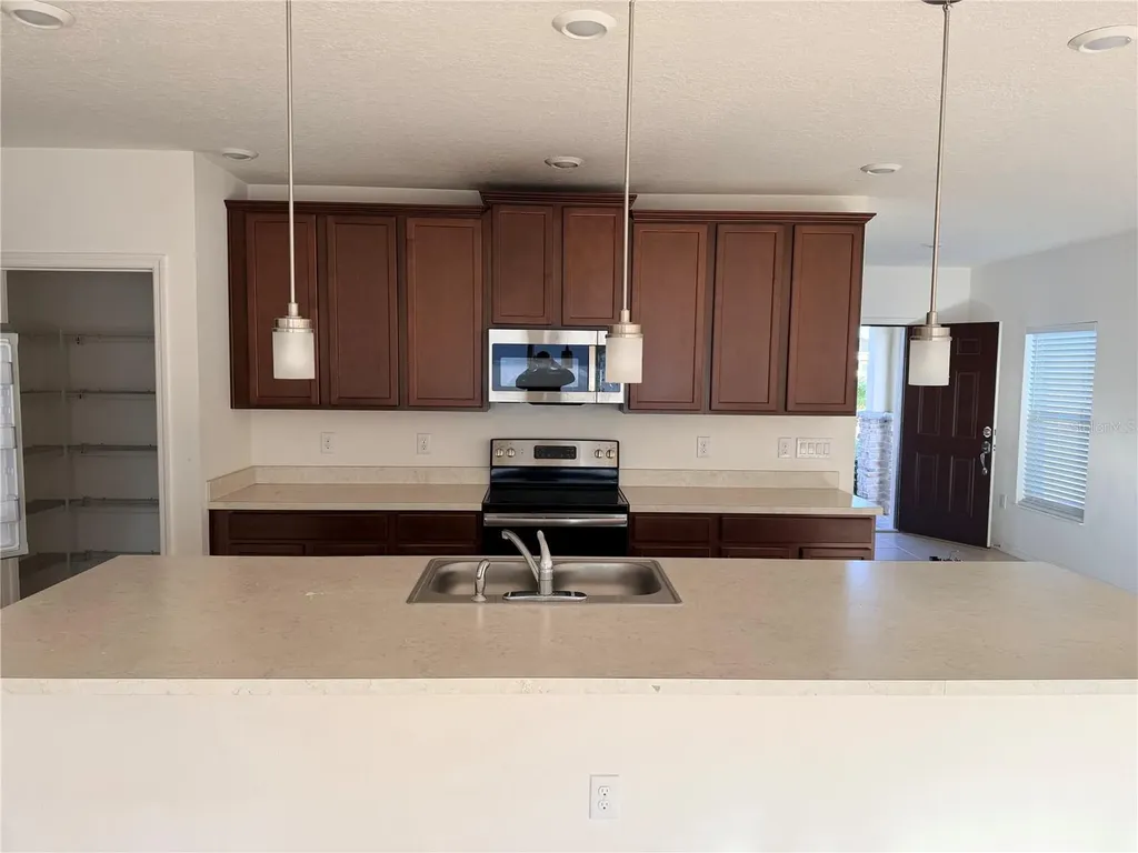 4209 Beargrass Street Clermont FL 34714