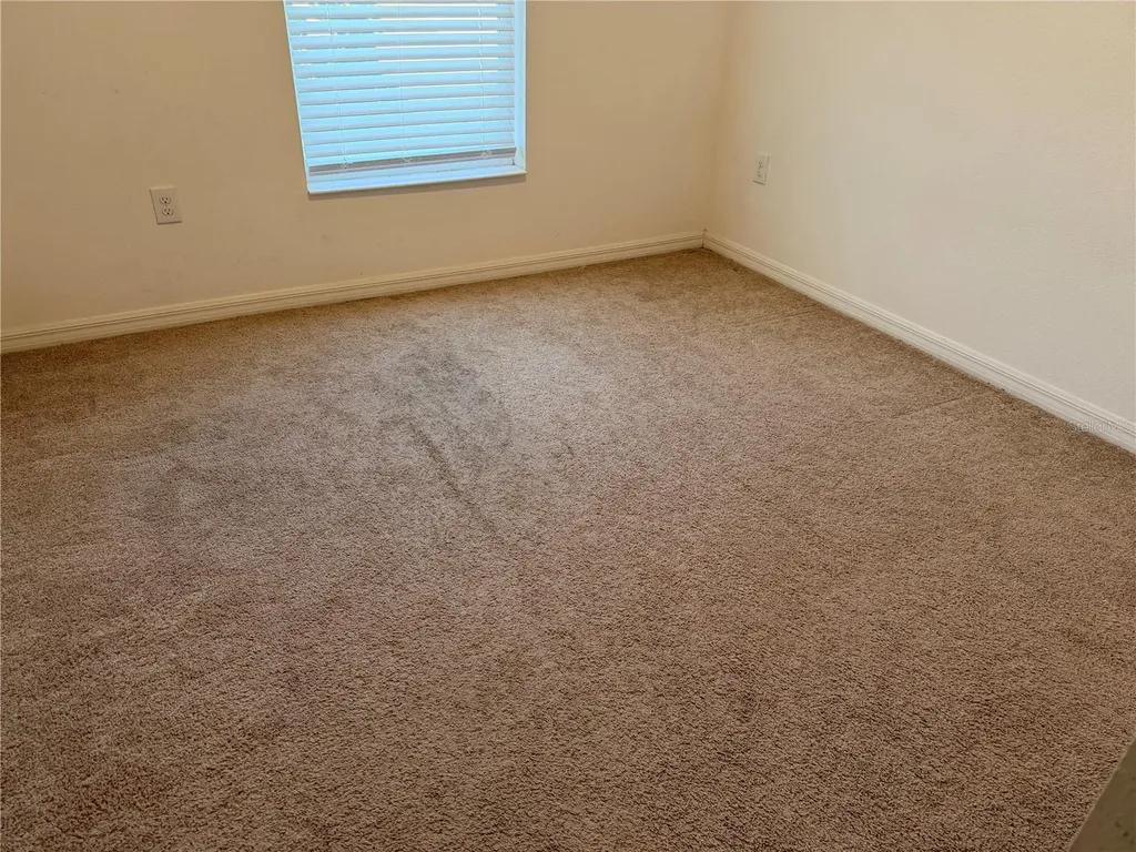 4209 Beargrass Street Clermont FL 34714