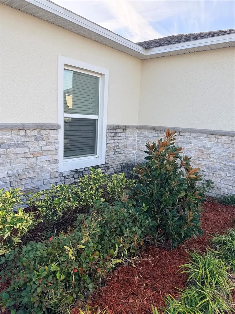 4209 Beargrass Street Clermont FL 34714