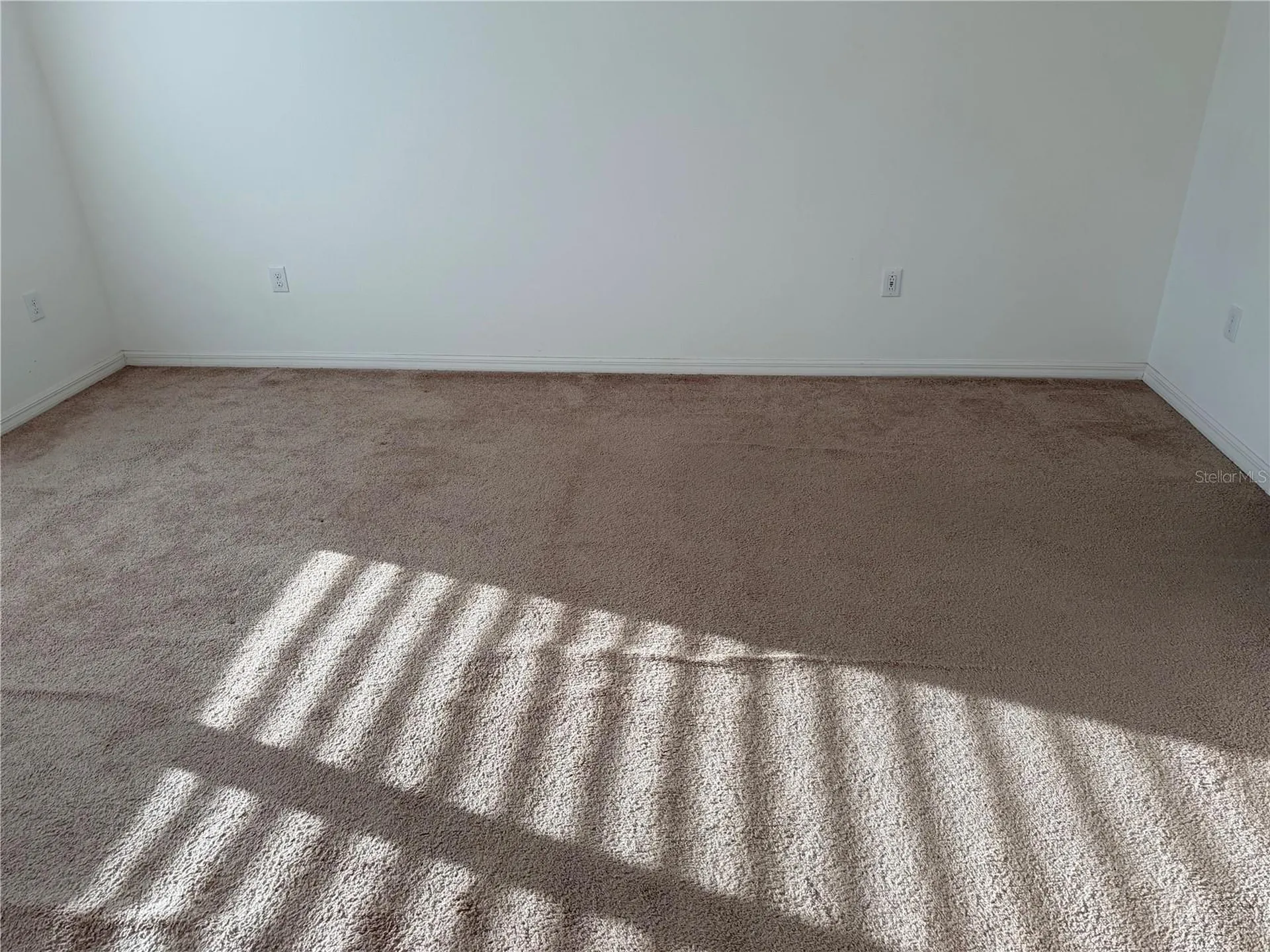 4209 Beargrass Street Clermont FL 34714