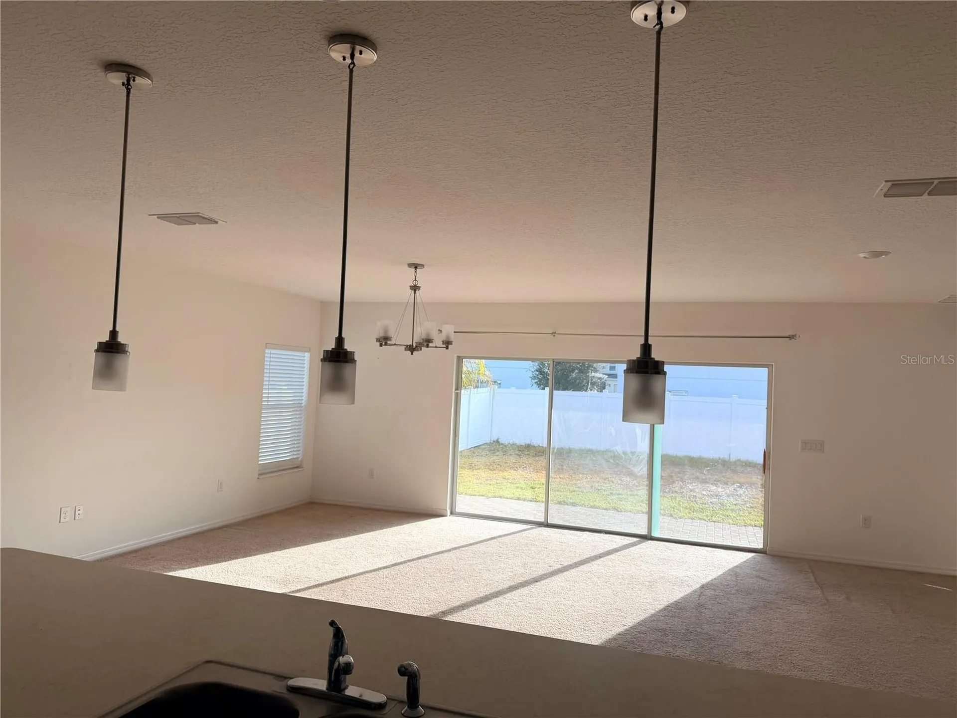 4209 Beargrass Street Clermont FL 34714