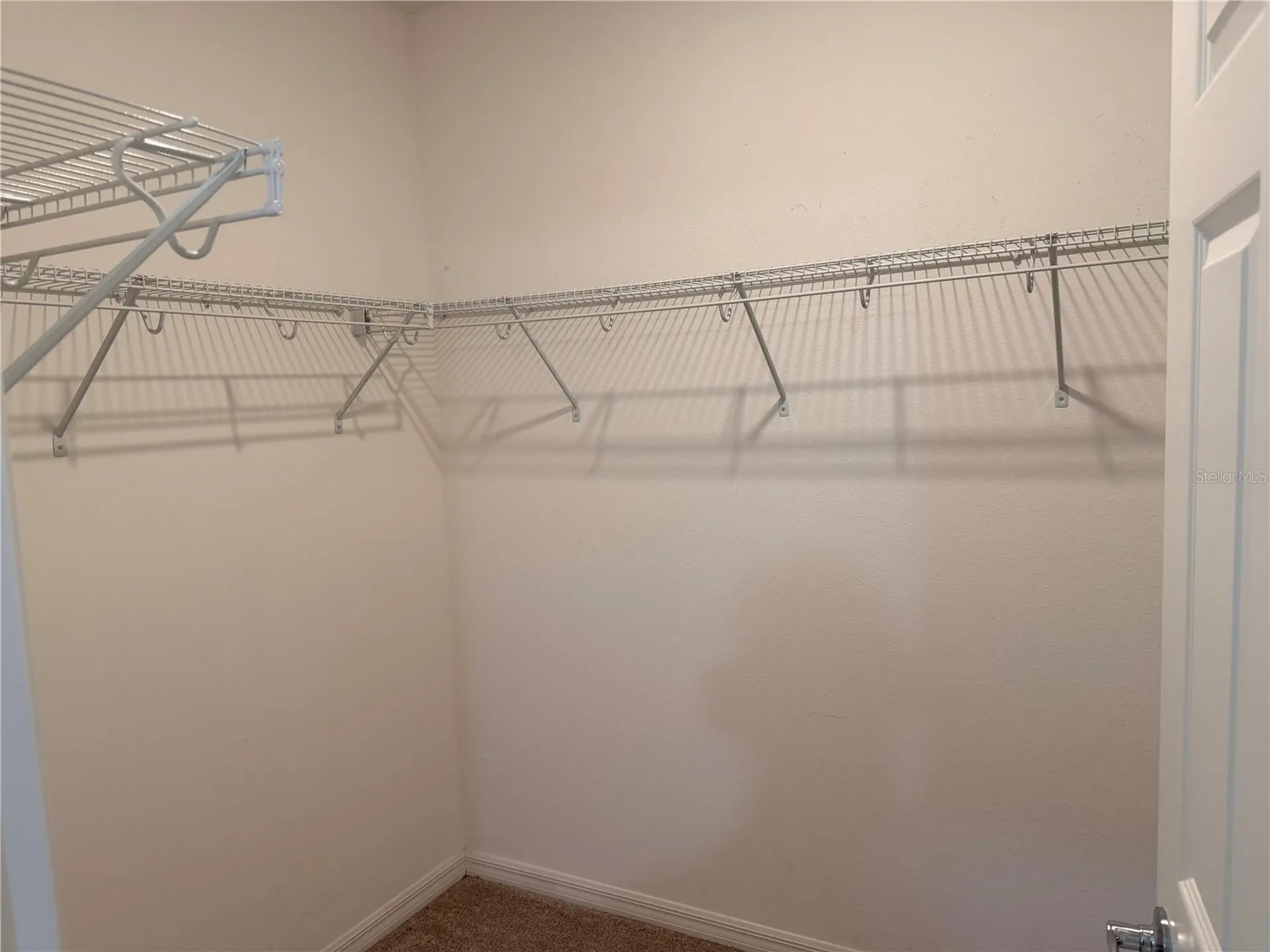 4209 Beargrass Street Clermont FL 34714