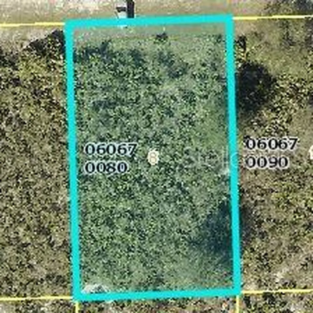 2605 70th Street W Lehigh Acres FL 33971
