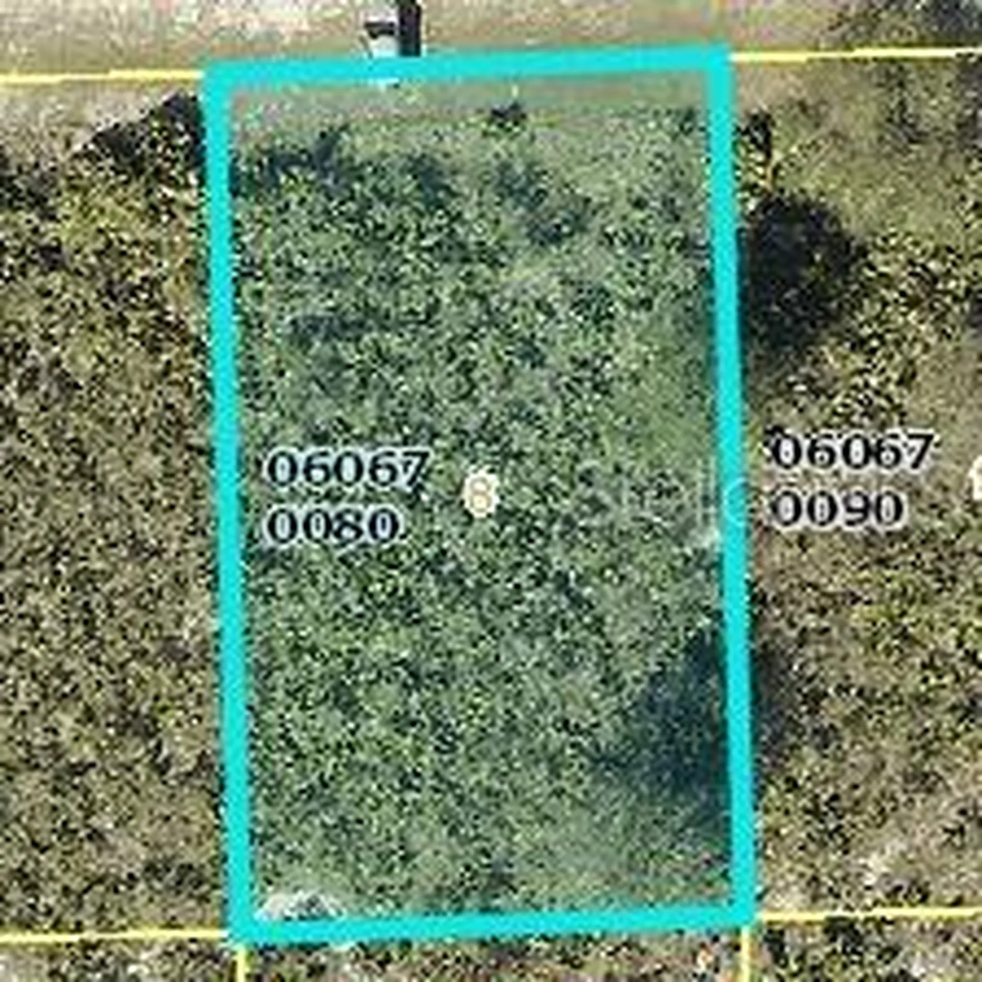 2605 70th Street W Lehigh Acres FL 33971