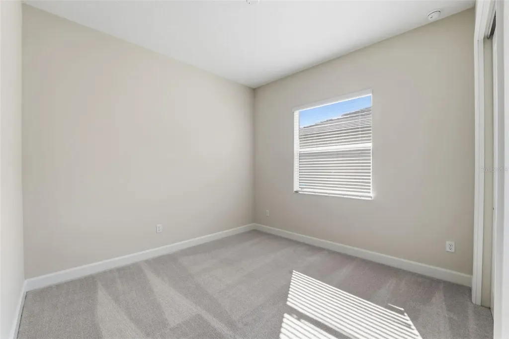 32623 Neroli Street Wesley Chapel FL 33543