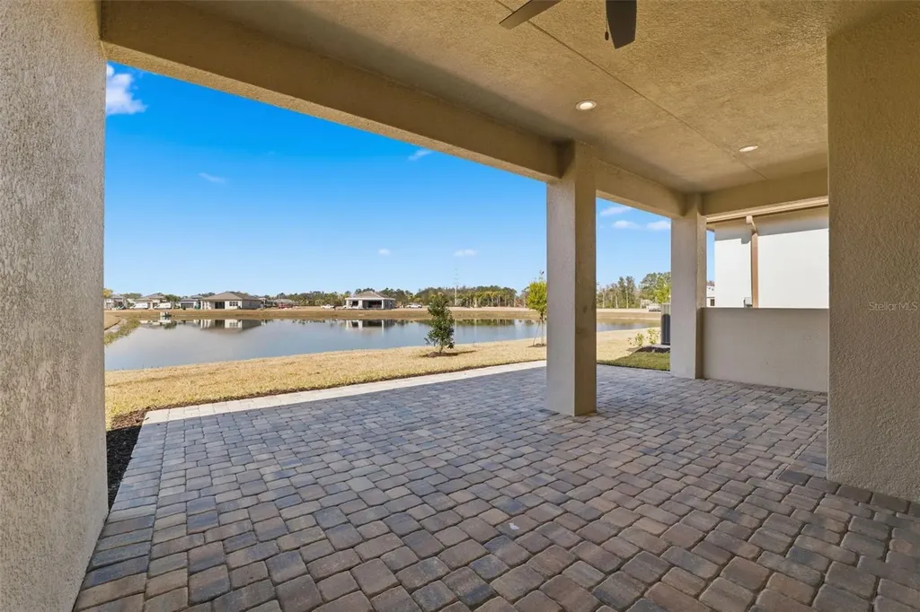 32623 Neroli Street Wesley Chapel FL 33543