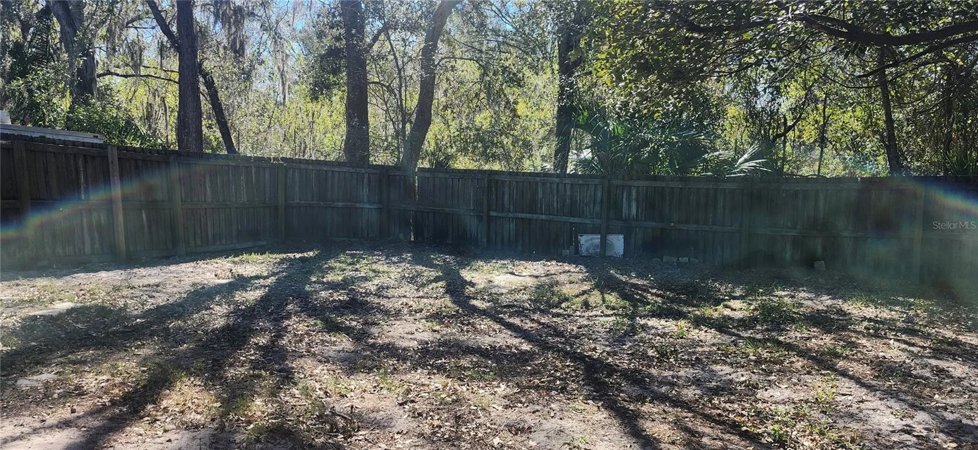 4839 Billy Direct Lane Lutz FL 33559