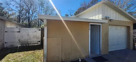 4839 Billy Direct Lane Lutz FL 33559
