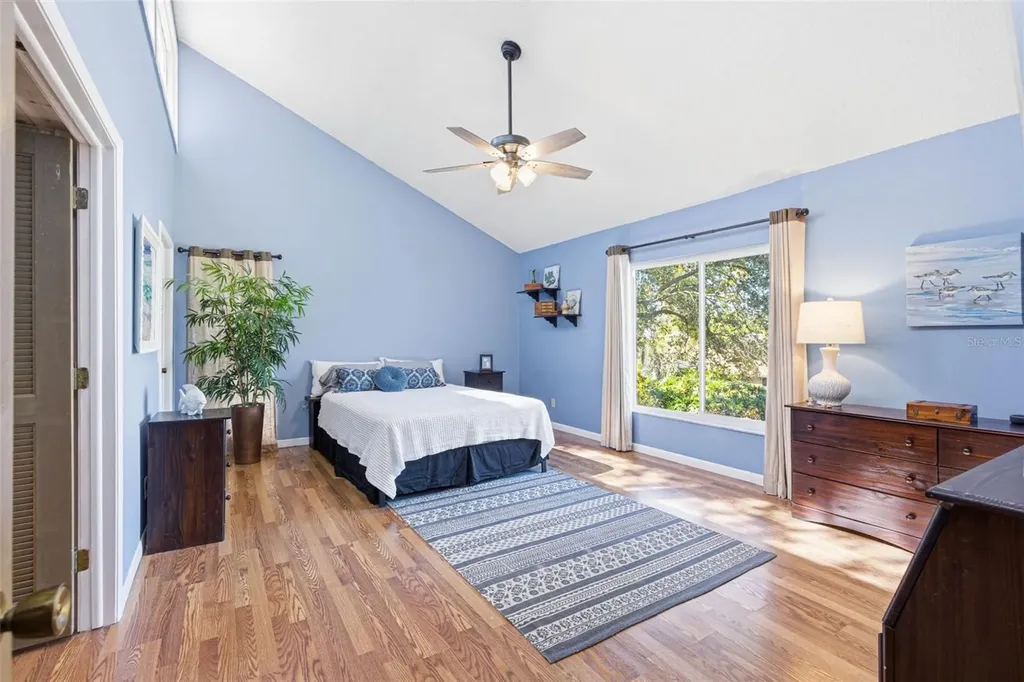 847 Hillside Drive Palm Harbor FL 34683