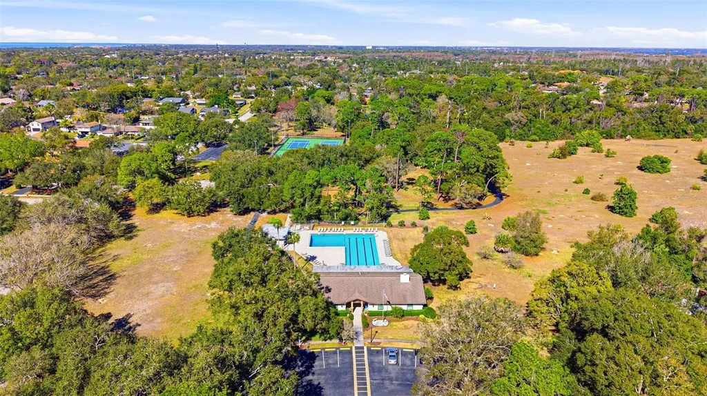847 Hillside Drive Palm Harbor FL 34683