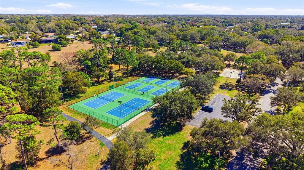 847 Hillside Drive Palm Harbor FL 34683