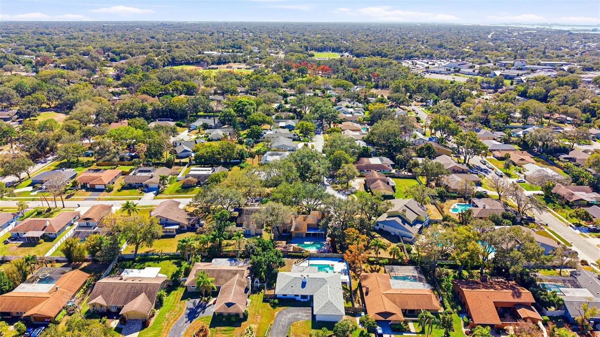 847 Hillside Drive Palm Harbor FL 34683