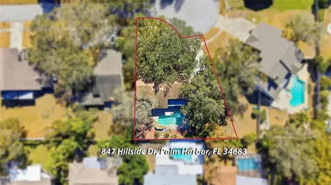 847 Hillside Drive Palm Harbor FL 34683