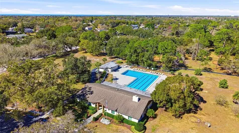847 Hillside Drive Palm Harbor FL 34683
