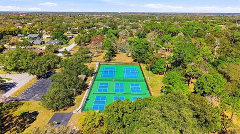 847 Hillside Drive Palm Harbor FL 34683