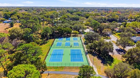 847 Hillside Drive Palm Harbor FL 34683