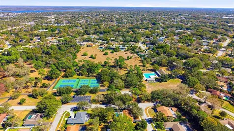 847 Hillside Drive Palm Harbor FL 34683