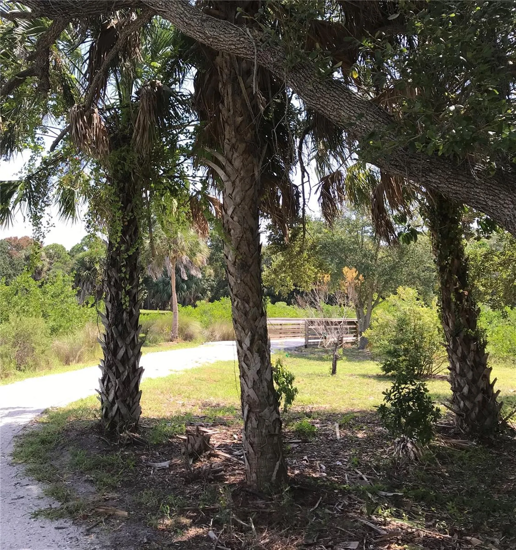 3847 30th Avenue S St Petersburg FL 33711