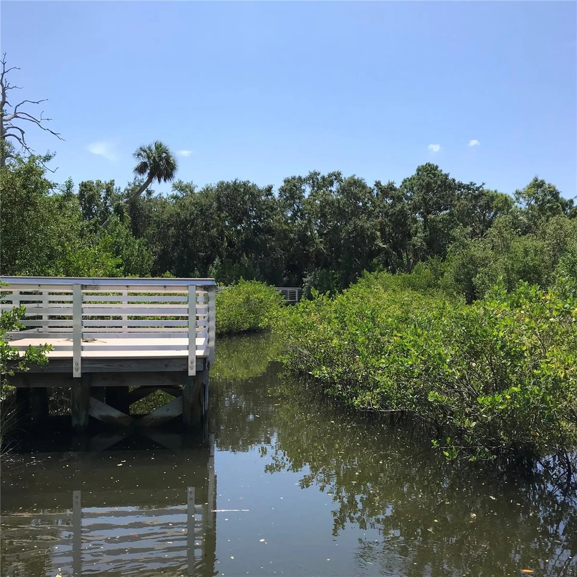 3847 30th Avenue S St Petersburg FL 33711