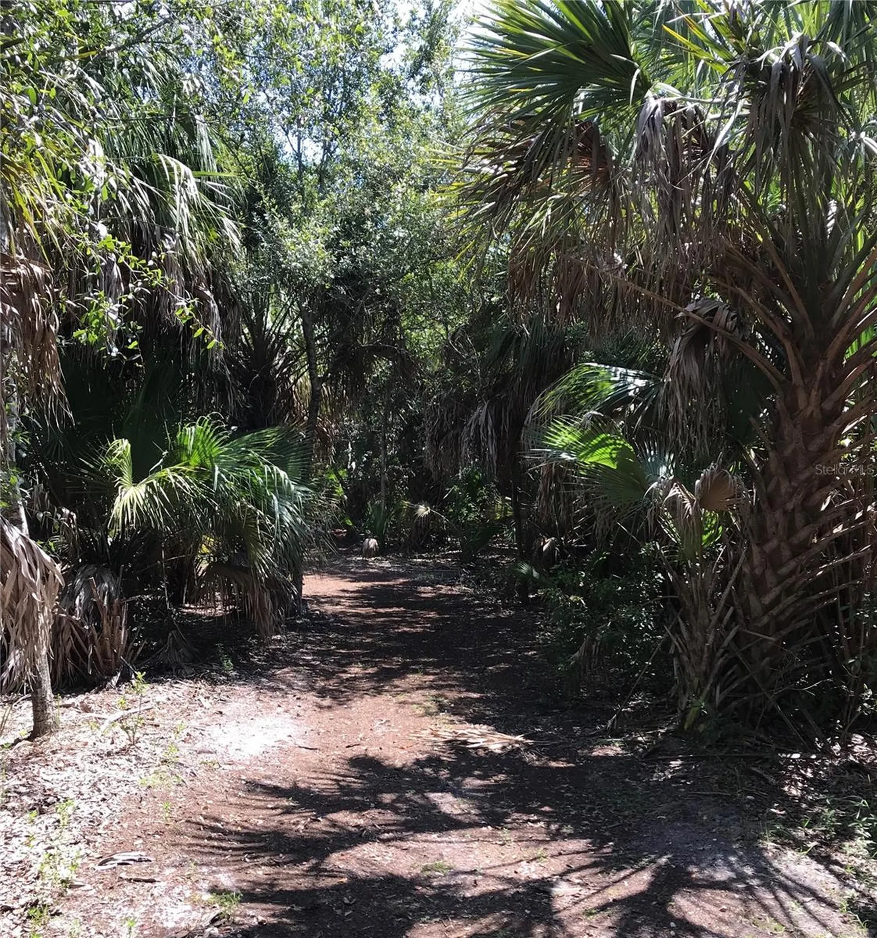 3847 30th Avenue S St Petersburg FL 33711