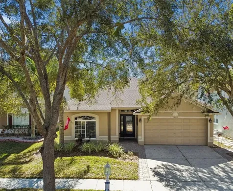 18922 Fishermans Bend Drive Lutz FL 33558