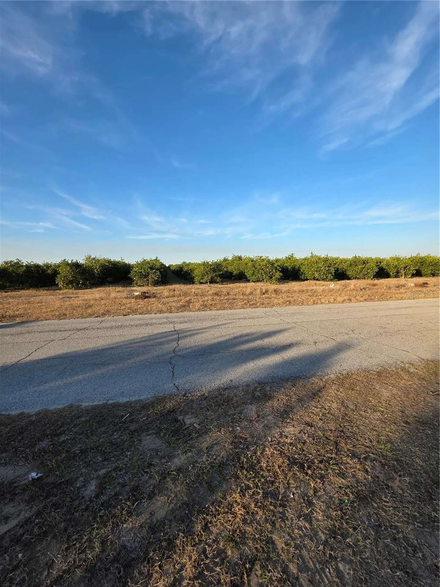 2544 El Dorado Avenue Avon Park FL 33825