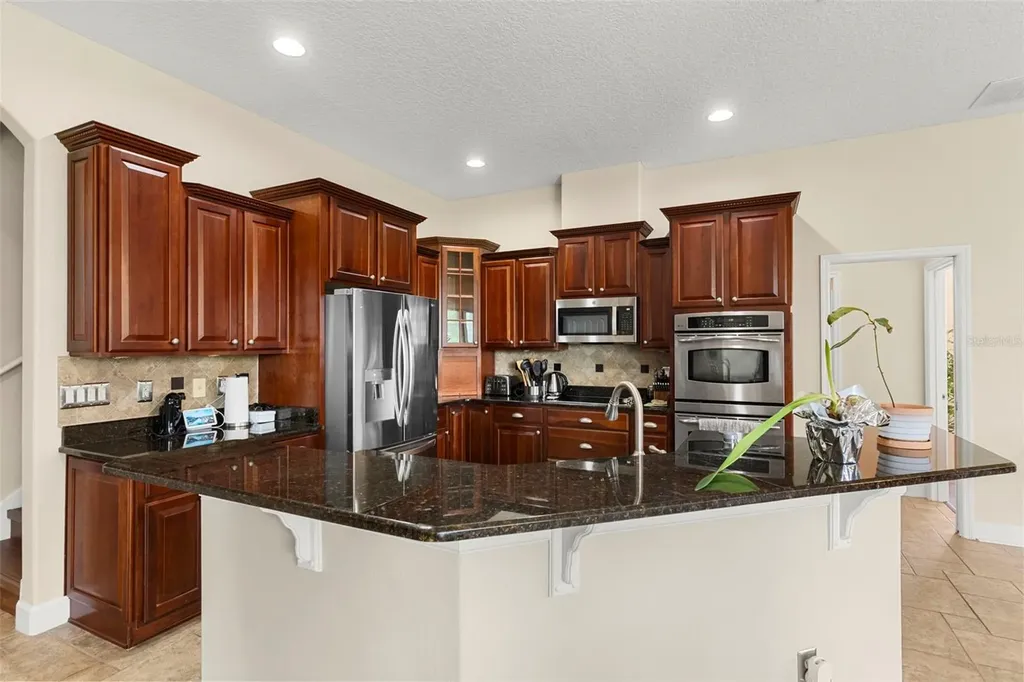 6234 Tremayne Drive Mount Dora FL 32757