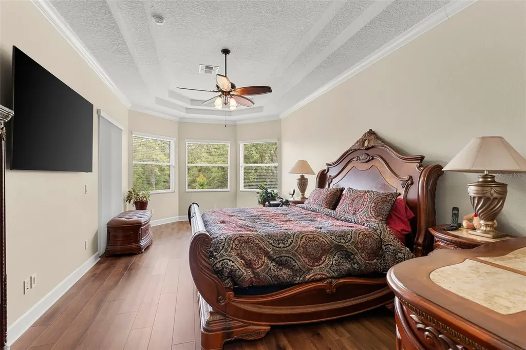 6234 Tremayne Drive Mount Dora FL 32757