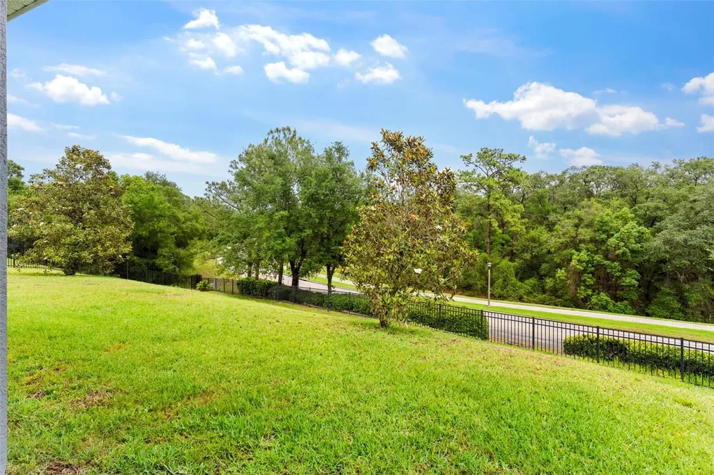 6234 Tremayne Drive Mount Dora FL 32757