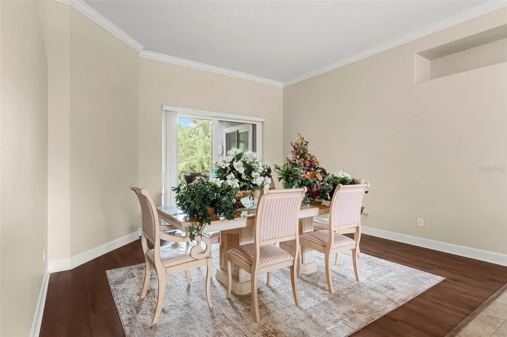 6234 Tremayne Drive Mount Dora FL 32757