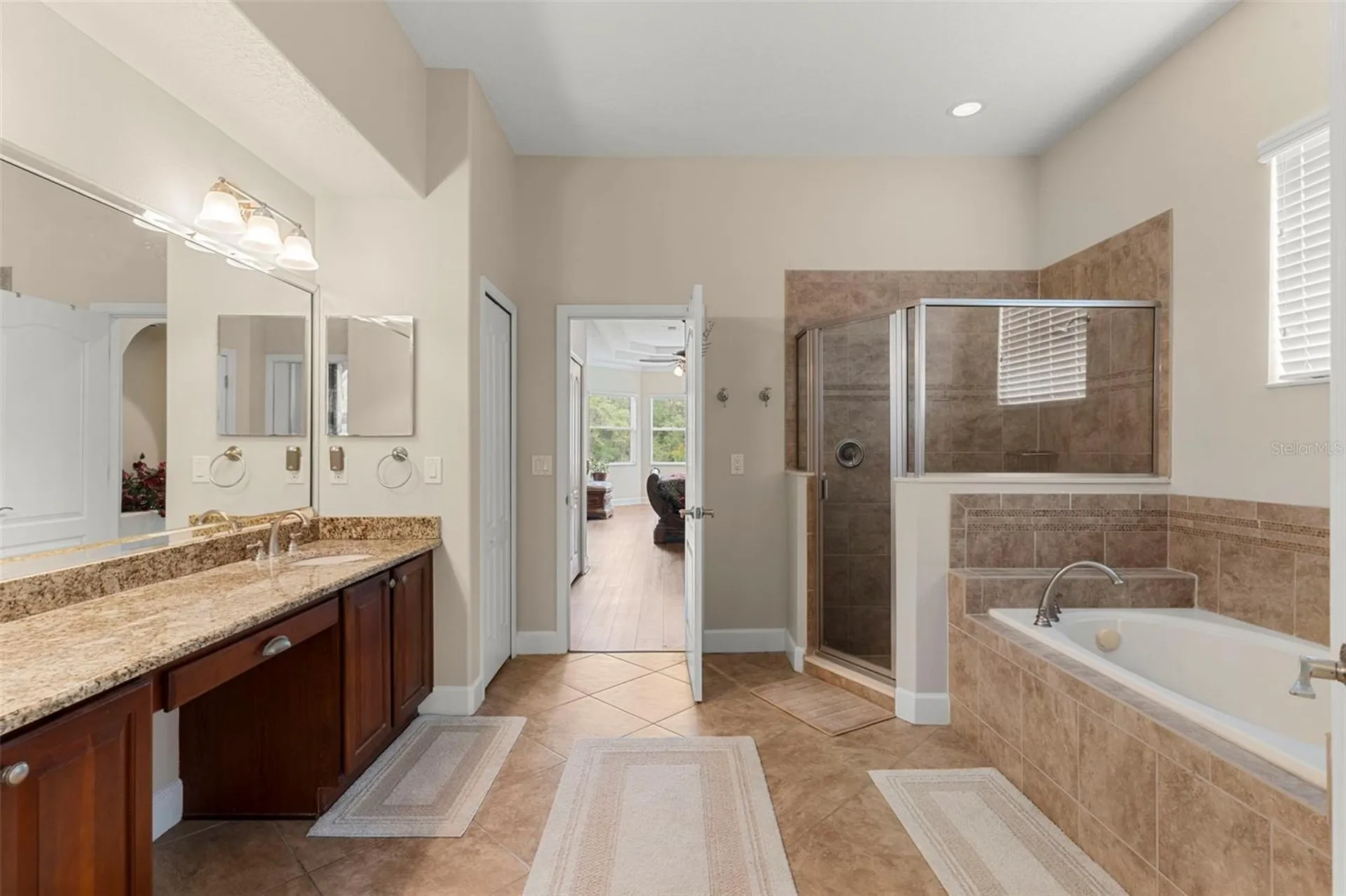 6234 Tremayne Drive Mount Dora FL 32757