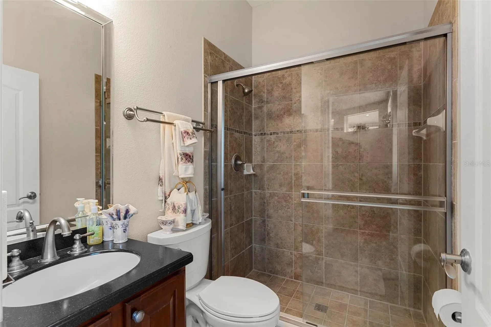6234 Tremayne Drive Mount Dora FL 32757