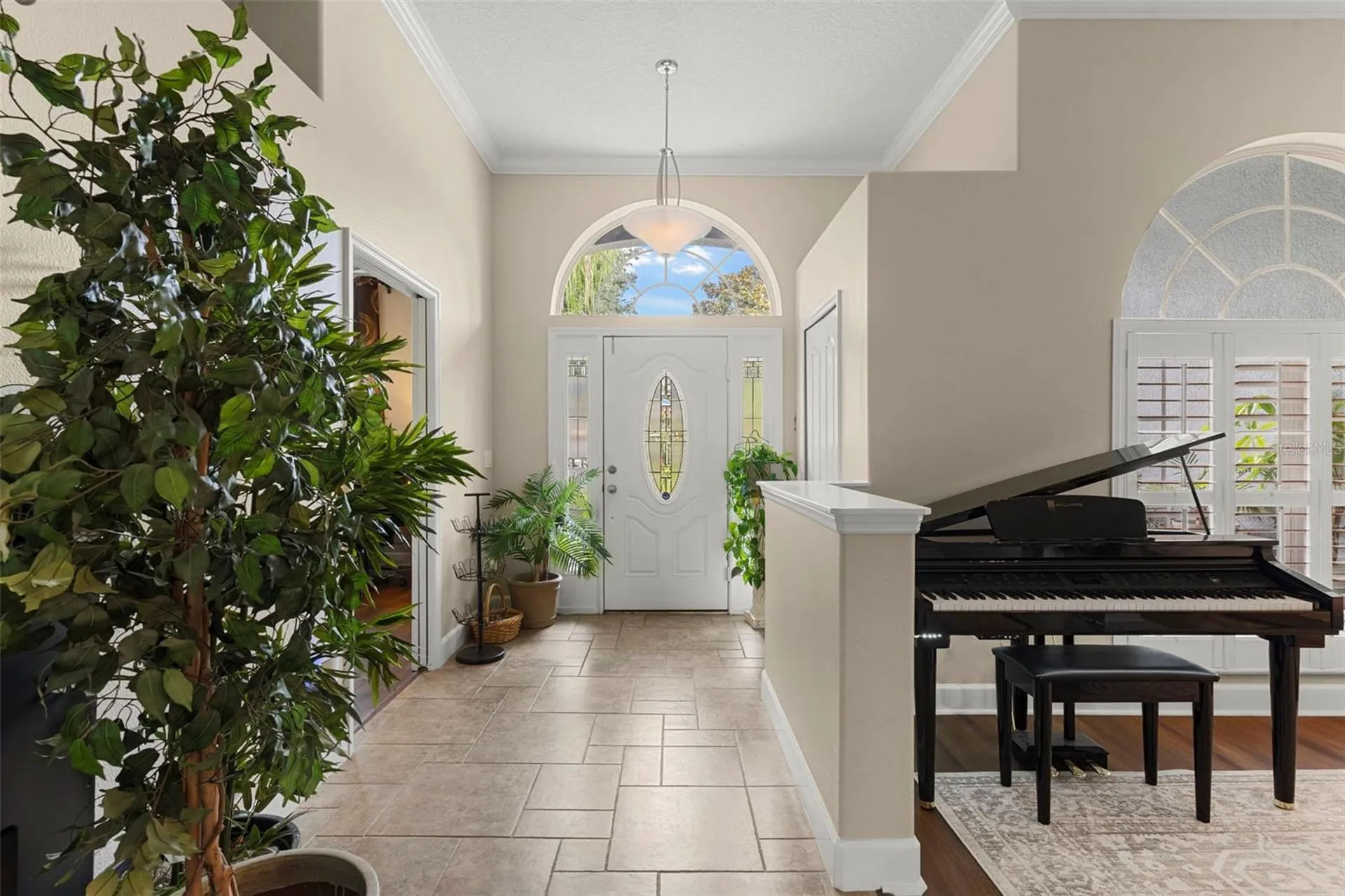 6234 Tremayne Drive Mount Dora FL 32757