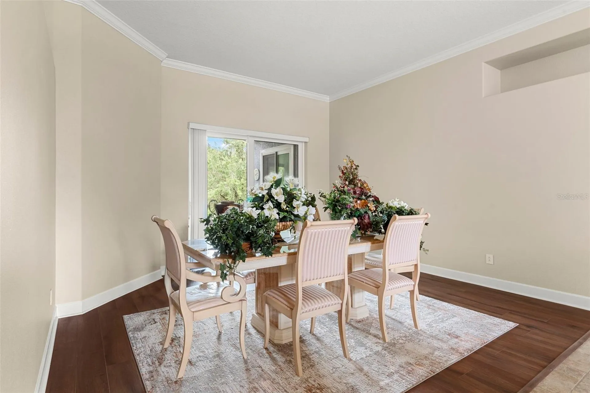 6234 Tremayne Drive Mount Dora FL 32757
