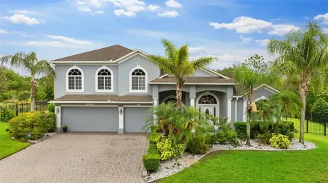 6234 Tremayne Drive Mount Dora FL 32757
