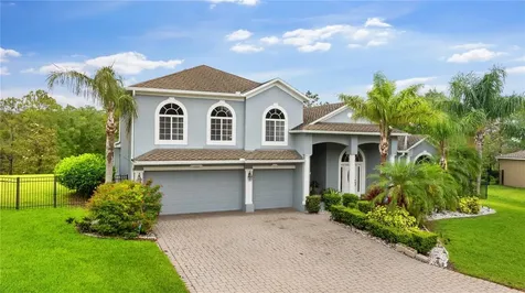 6234 Tremayne Drive Mount Dora FL 32757