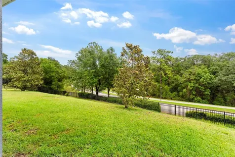 6234 Tremayne Drive Mount Dora FL 32757