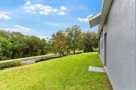 6234 Tremayne Drive Mount Dora FL 32757