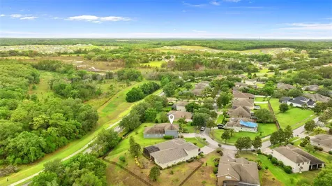 6234 Tremayne Drive Mount Dora FL 32757