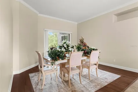 6234 Tremayne Drive Mount Dora FL 32757