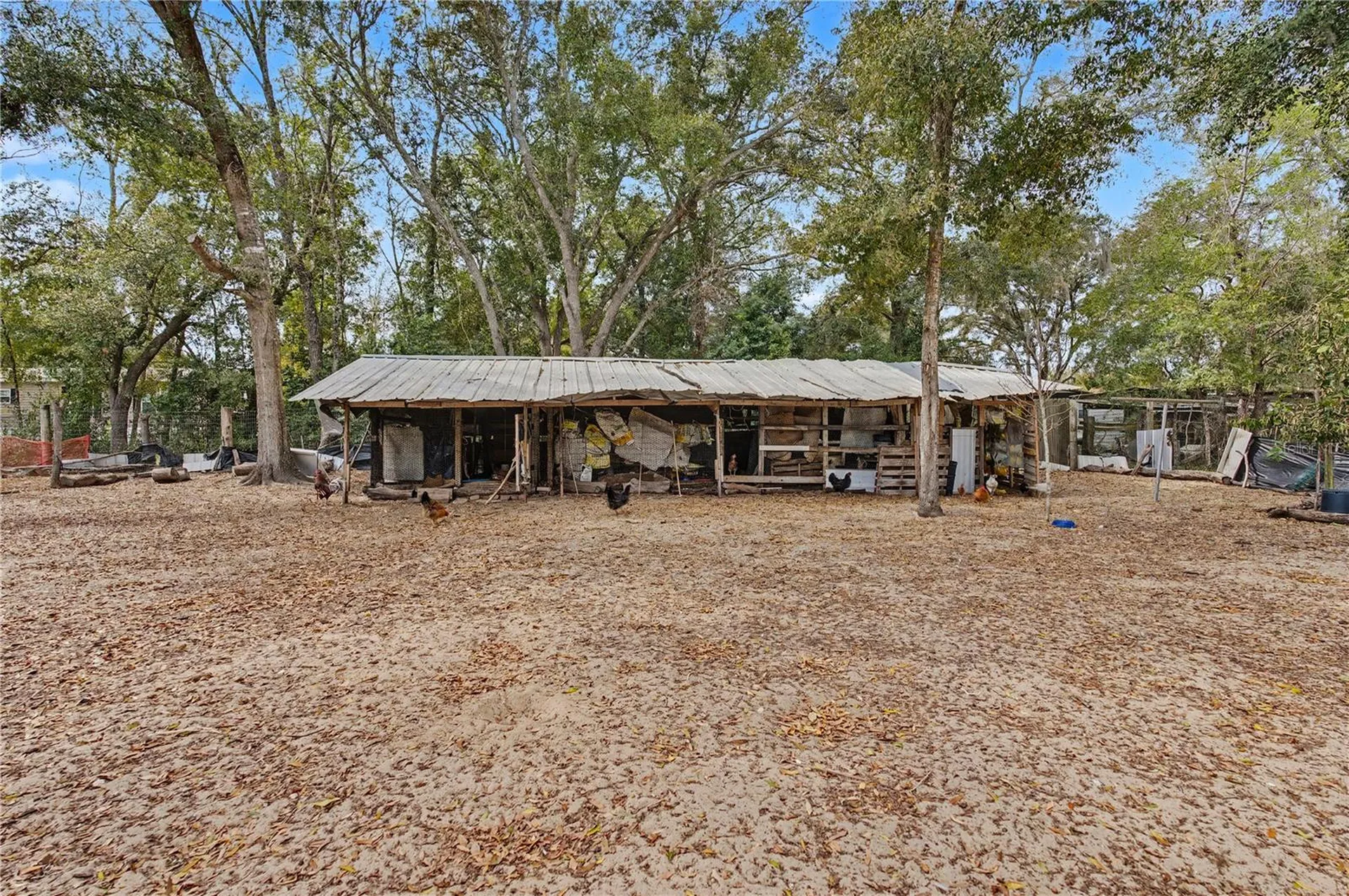 5710 NE 140th Court Williston FL 32696