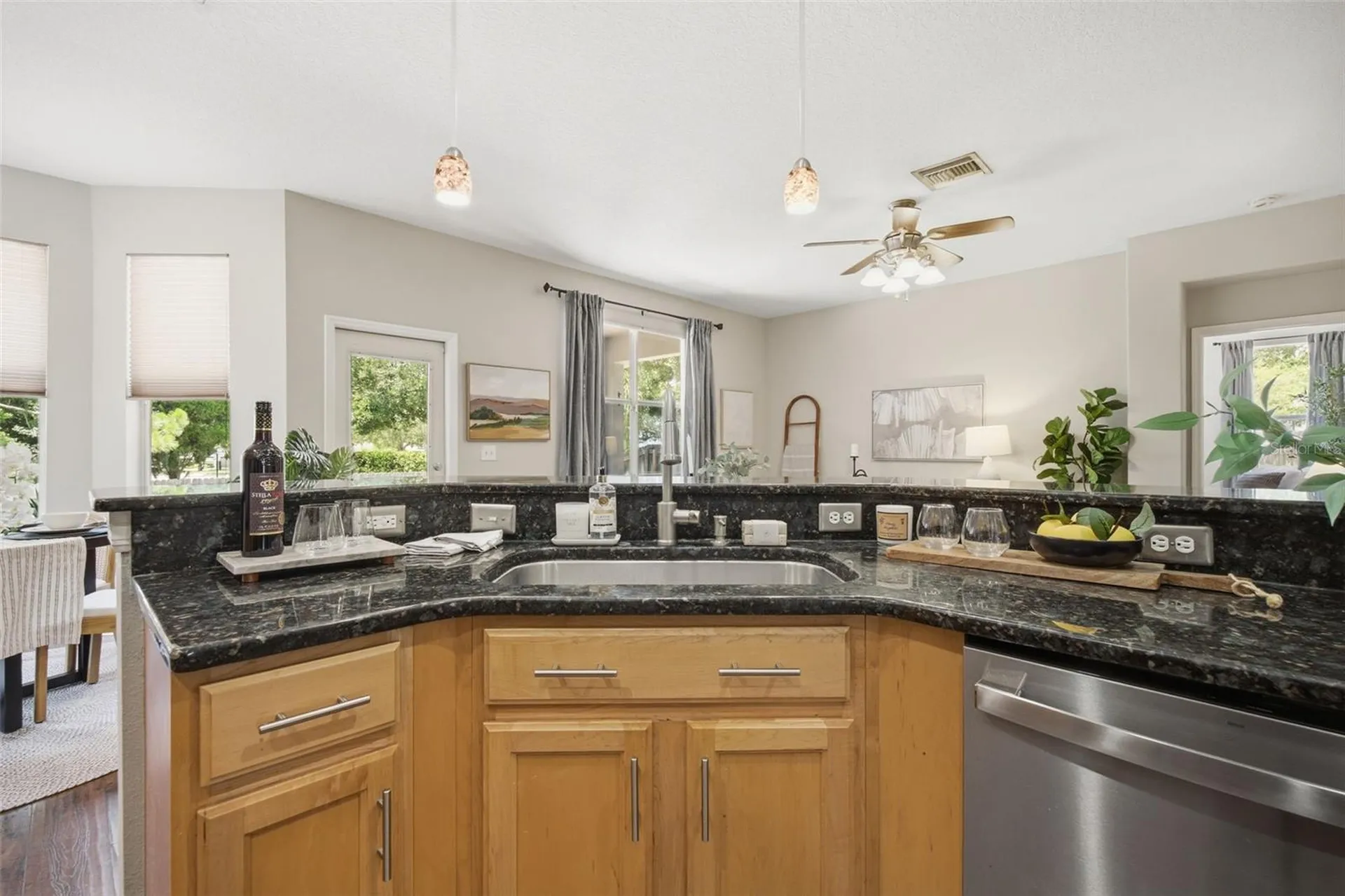 13603 Sigler Street Riverview FL 33579
