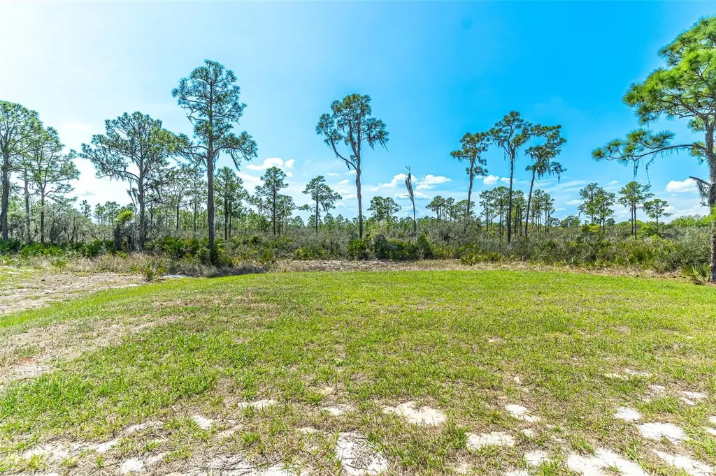 1411 Bittersweet Street Lake Placid FL 33852