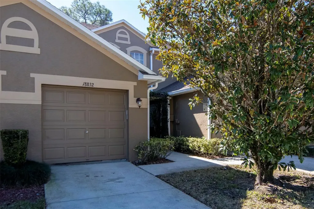 18832 Duquesne Drive Tampa FL 33647