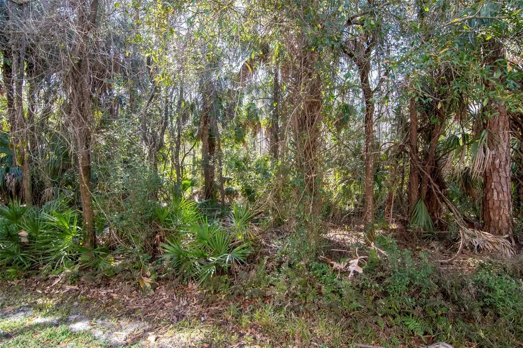 18832 Duquesne Drive Tampa FL 33647