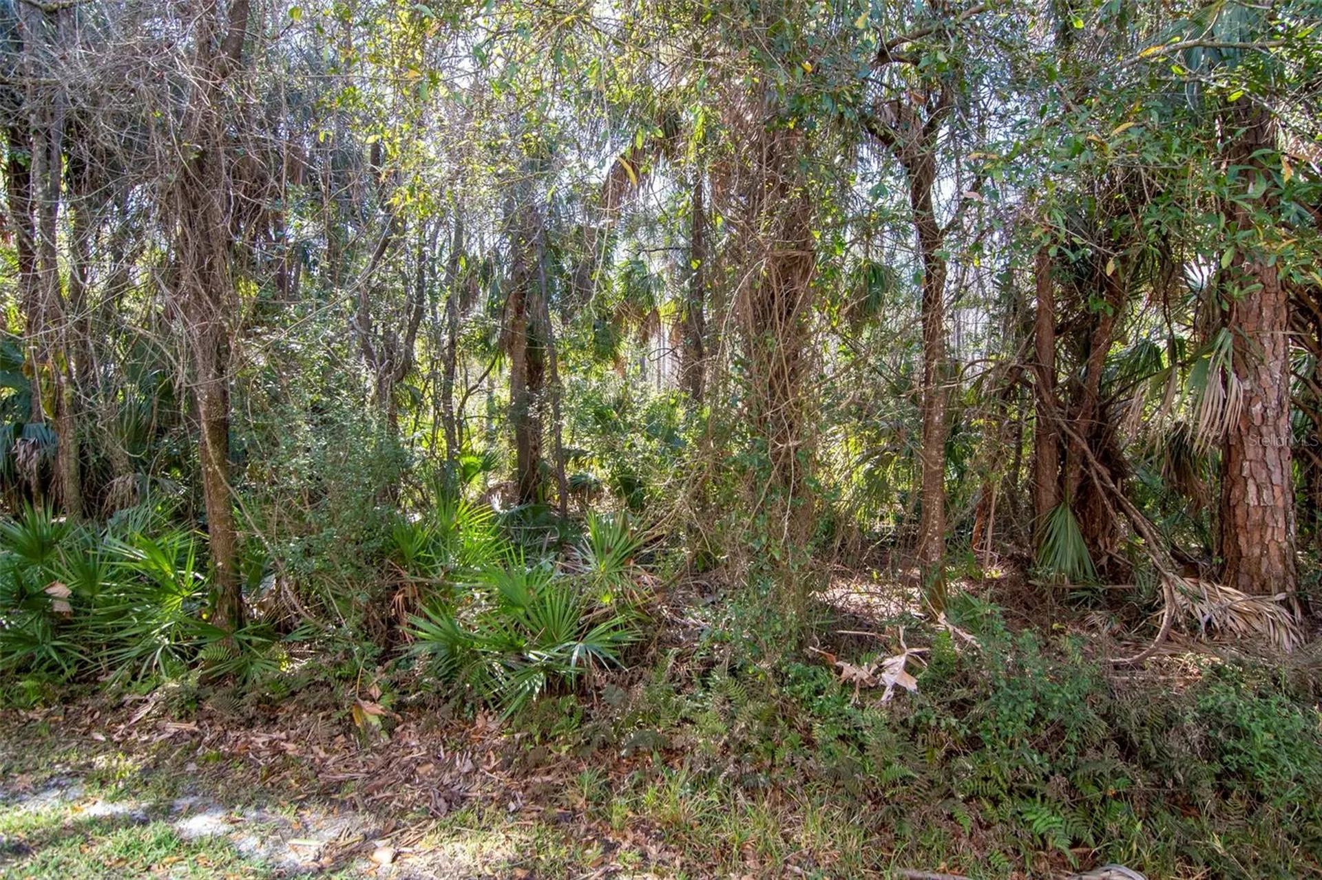 18832 Duquesne Drive Tampa FL 33647