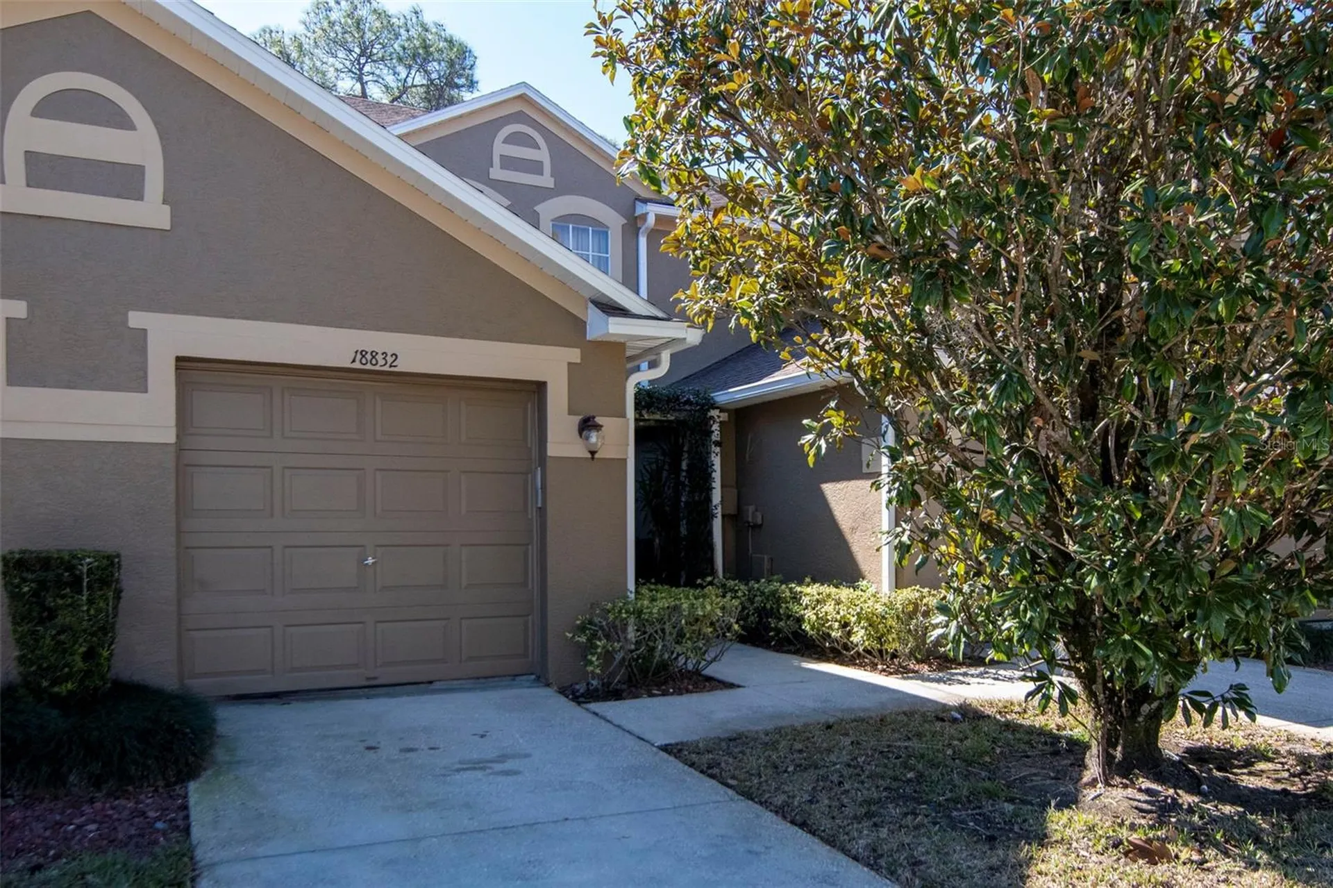 18832 Duquesne Drive Tampa FL 33647
